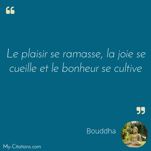 Citation, Bouddha