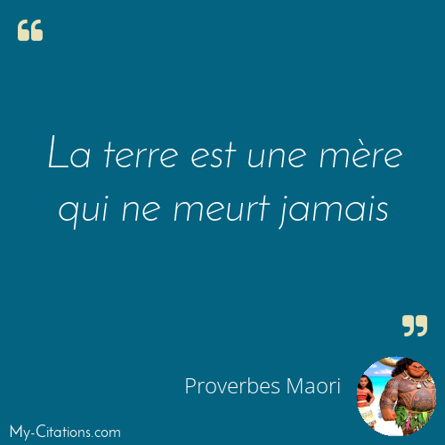 Citation, Proverbes Maori
