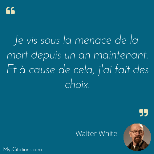 Citation, Breaking Bad, Walter White